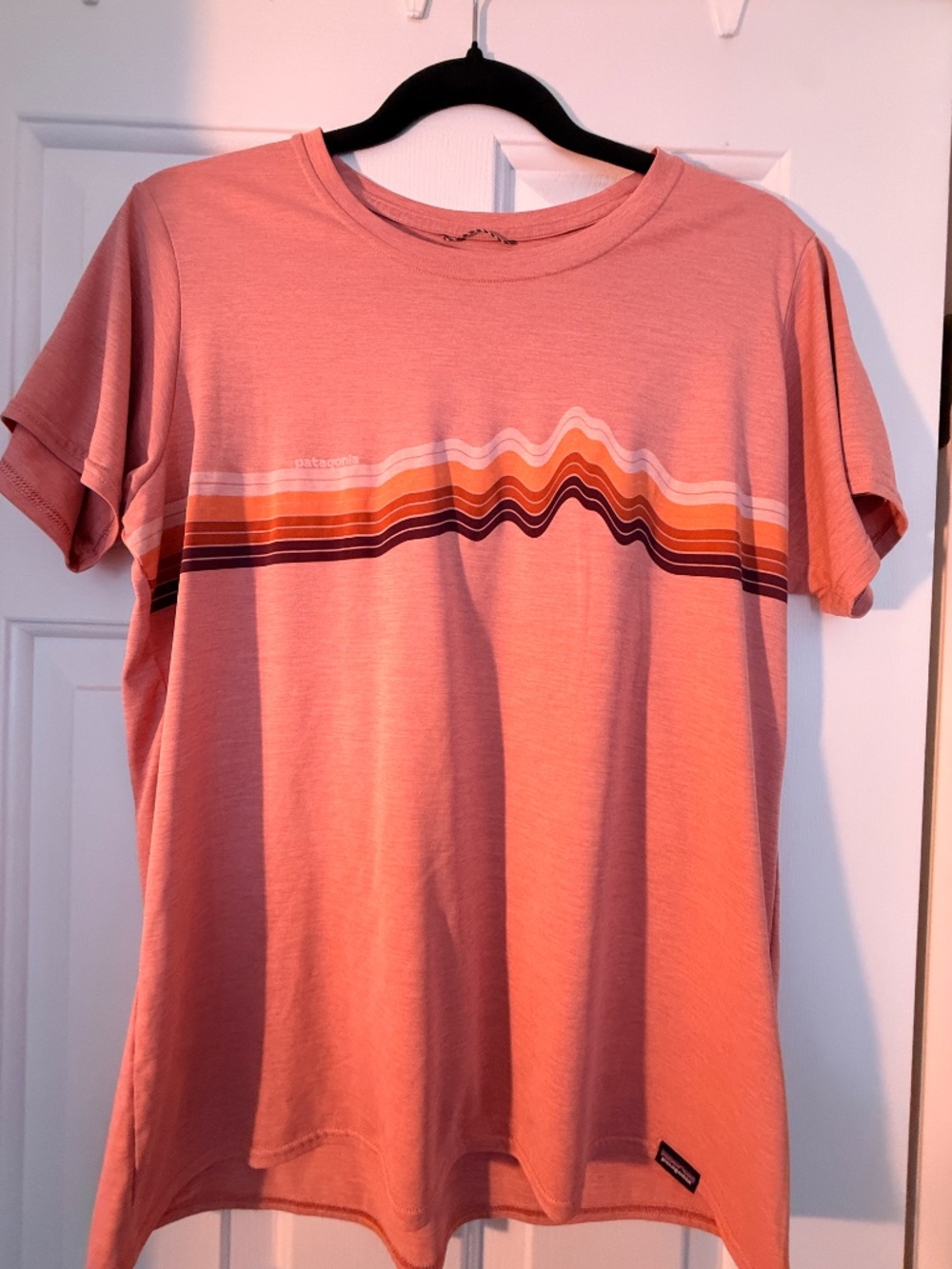 Patagonia Capilene Cool Daily Graphic T-Shirt - Women's LARGE PINK - Picture 6 of 6